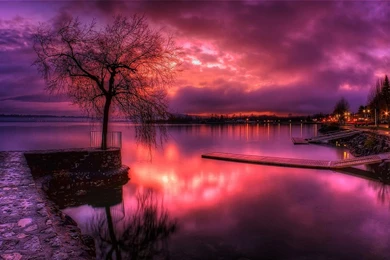 Glorious Purple Sunset Hdr   (