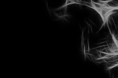 Kamen Rider Skull Transparent