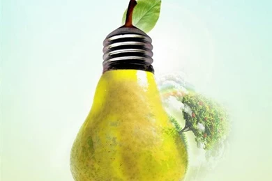 Creative Fruit iPhone 6 Wallpapers