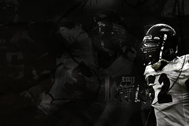 Hope You Like This Baltimore Ravens Wallpaper Backgrounds In High ...