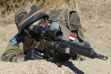 1024x768 French Infantry Sniper Desktop PC And Mac Wallpapers