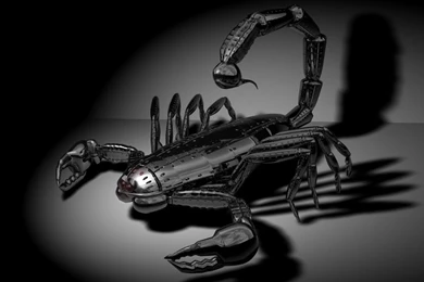 Black metal scorpion 3d background.jpg Photo By Damury7