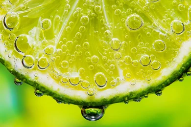 Lime Wallpapers   Wallpapers Cave