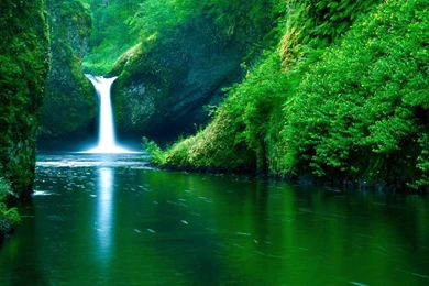 Free Live Wallpapers 7   Best Wallpapers Collection