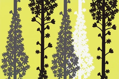 Lime Green And Black Wallpapers   Wallpapers HD Fine