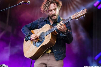 Falls Festival 2014 In Marion Bay   Day 3