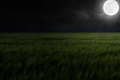 182 Moon HD Wallpapers