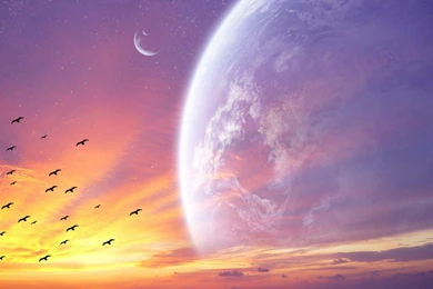 Birds Planets Wallpapers   (