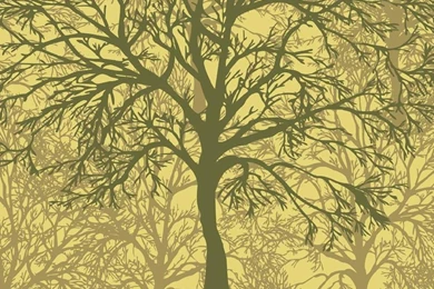 Nonwoven Decorative Wallpaper(DREAM NI SALLY)   AC 9XX   ISMIC ...