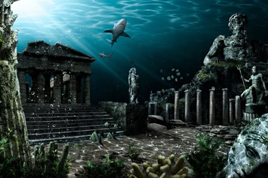 Professor Of Archaeology Ken Feder