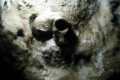 Shackleton's Antarctica 100 year old Whisky Brought To Life ...