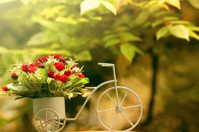 17445 Dust In The Light 1920x1080 Photography Wallpapers ...