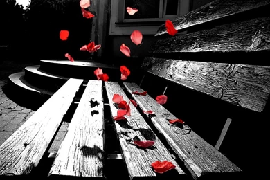 Wallpapers Romantic Free So The 1024x768