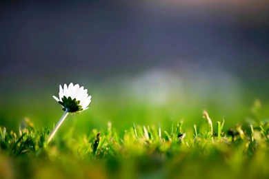 Samsung Galaxy S4 Mini Wallpapers • 119 HD Wallpapers