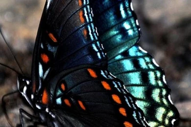 Galaxy S3 Wallpapers HD Beautiful, Stunning Wallpapers