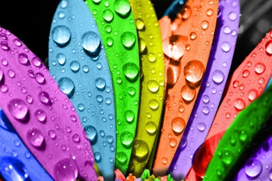 Colorful Wallpapers For HTC 06 Set 2