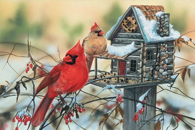 Birds: Cardinal Rustic Retreat Snow Birdhouse Winter Bird ...