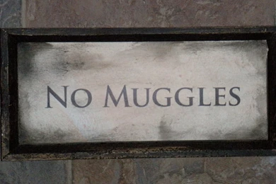 Harry Potter And The Deathly Hallows Sign