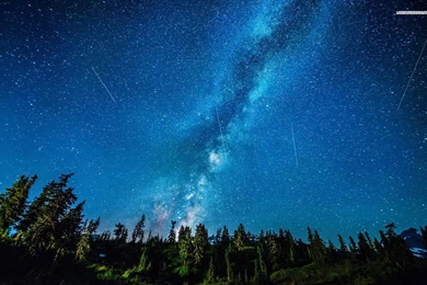 Photography   Page 70