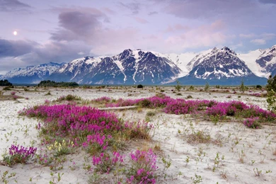 Moonrise, Desktop, Alaska, Backgrounds, Elias, Mountains (
