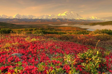 Alaska Fall Wallpapers   Wallpaper.