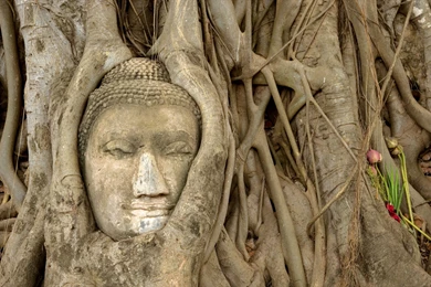 Buddhism Wallpapers   WallpaperFav.com