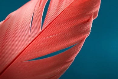 Motorola Moto G 3rd Gen XT1543 Stock Wallpapers   I Download ...