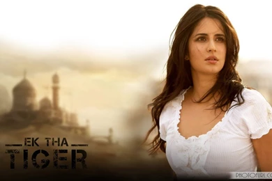 Katrina Kaif Beautiful Wallpapers   HD Wallpapers And Pictures