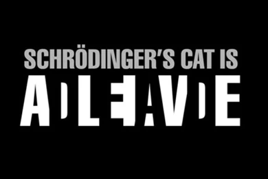 Funny Ios 7 Wallpaper Images Photos   FynnEXP