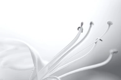 White Backgrounds 340Z Cool Backgrounds   Naukriwall.com