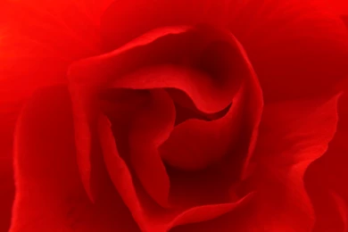 Red Wallpapers Abstract Quality   Backgrounds Free Images