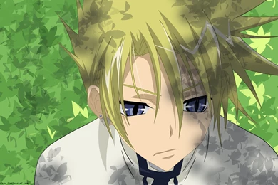 Tiny Frau   07 Ghost Wallpapers (13667999)   Fanpop