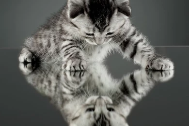 Strange Way To See The Things HD Desktop Wallpapers : Widescreen ...