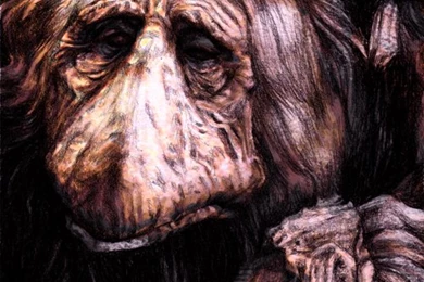 A Mystic From The Dark Crystal By Aaron Bir On DeviantArt