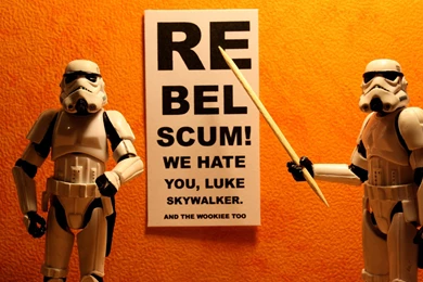 We Hate You Luke Skywalker   Hqworld.net   High Quality Sport And ...