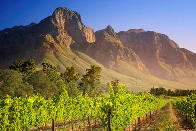 Free 3D Wallpapers Download: Nature And Windows 7 Desktop ...