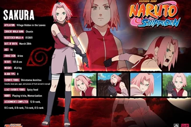 Sakura Naruto Shippuden Wallpapers