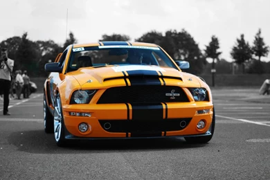 2013 Ford Mustang Shelby GT500, Ford Mustang Shelby Gt500 ...