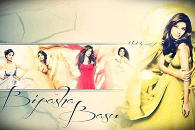 Free Wallpapers   Bipasha Basu Wallpapers