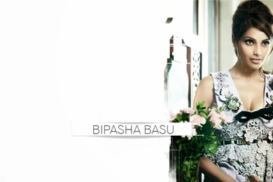 Bipasha Basu Hot Wallpapers HD Free Download ~ Unique Wallpapers