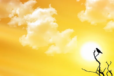 High Resolution Free Images   HD Wallpapers Pretty