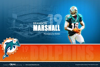 Brandon Marshall Miami Dolphins Wallpapers