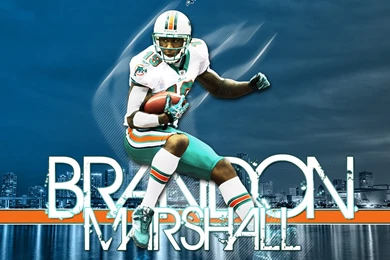 Nfl Player Brandon Marshall Wallpapers 1280x1024 IWallHD ...