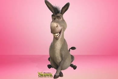 Download Donkey, Shrek Forever After Wallpapers   Wallpapers Printed