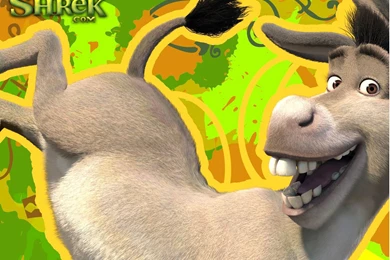 Donkey Pictures   Domestic Cute Donkey Wallpapers