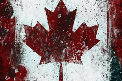 47.7% Of Canadian Military Have History Of Child Abuse