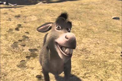 Quién Dijo Estas Frases En Shrek 2?