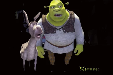 Shrek And Donkey Arguing Quotes. QuotesGram