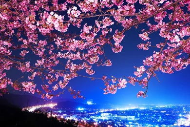 Sweet Love Chocolate Backgrounds Picture 1920x1080 1080p Hd ...