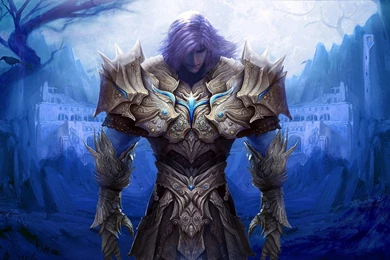 Paladin Wallpapers   Wallpapers Zone